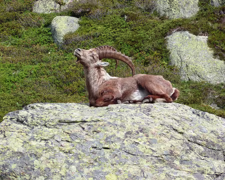 PXL027 scratch, scratch, scratch! aahh, c'est trop bon.