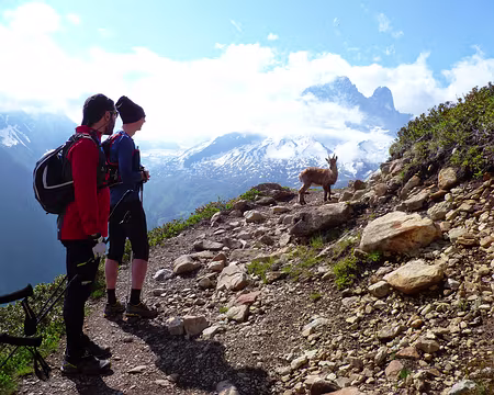 PXL029 le Traileur du CAF-Idf se laisse volontiers observer, il n'est pas farouche.