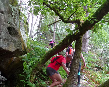 PXL025 nous enchaînons avec une section en forêt tropicale,