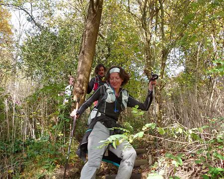 PXL006 Gracieux, les sangliers!