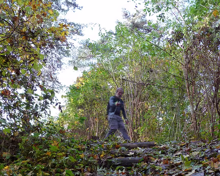 PXL009 Virage au cordeau dans les feuilles.