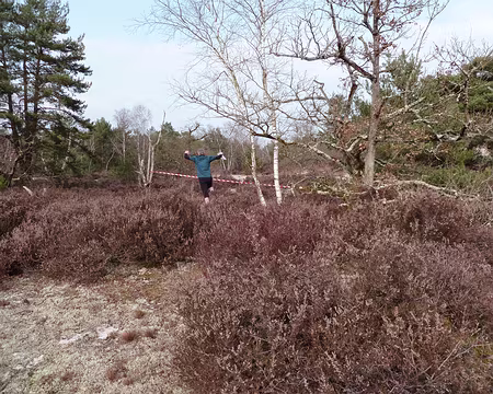 PXL002 Ils sautent de balise en balise comme de jeunes kangourous!