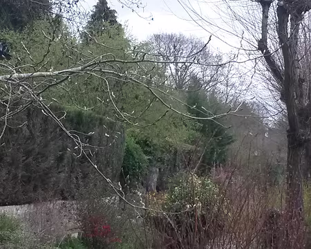 20150411_Yvette en Chevreuse