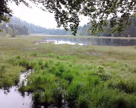 PXL002 De l'eau, oui, beaucoup...un trail vert!...