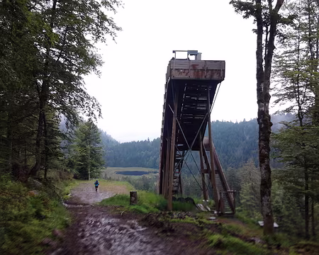 PXL007 Tous les itinéraires montaient au dessus de Gérardmer, où se trouve la station de ski.
