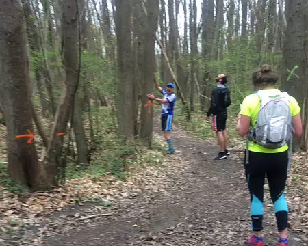 PXL011 et rassurent notre courageux Gallus.