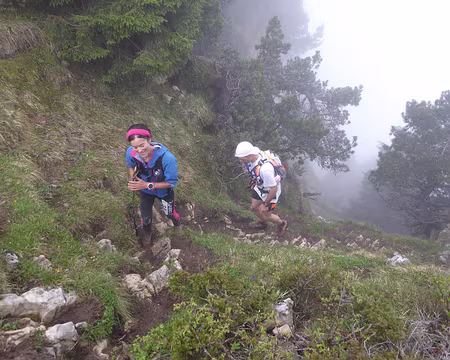 66-2f-33_27464612712_o