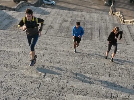 2014-11 Versailles Hélène G, détail sortie