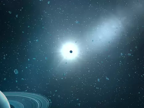 2015-01 Parc de Sceaux Véronique M, détail sortie