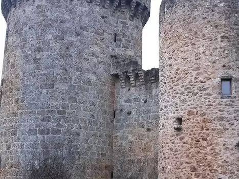 2015-04 Vallée de Chevreuse Hélène G, détail sortie