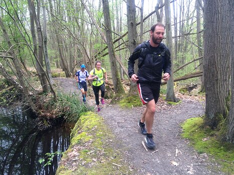 2016-04 Forêt de Hautil Véronique M, détail sortie