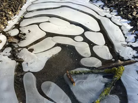 2017-01 Hautil détail de la sortie