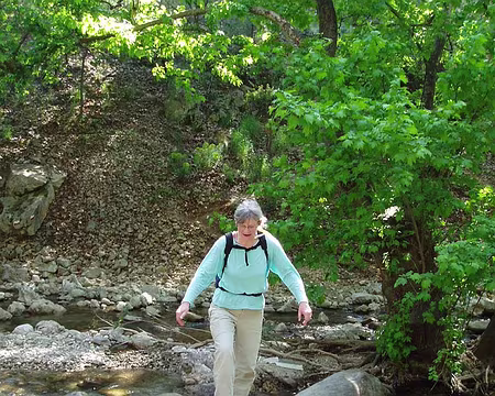 010 Passage périlleux.