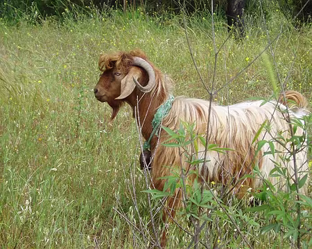 025 Votre coiffeur, Mademoiselle ?