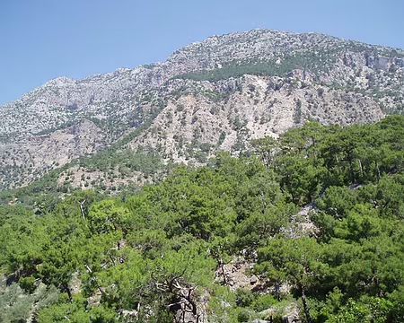 056 Ne dirait-on pas Sugiton ?