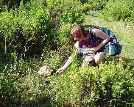 068 Et encore ces charmantes bestioles.