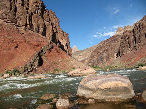 Myrtille Myrtille B, détail sortie