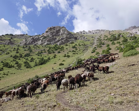 P041 Montée au col de Kara-Suu