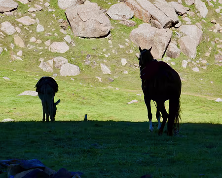 P070 Lever de soleil à Ouryam, matin calme
