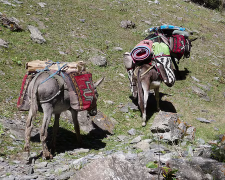 P072 Déménagement du camp