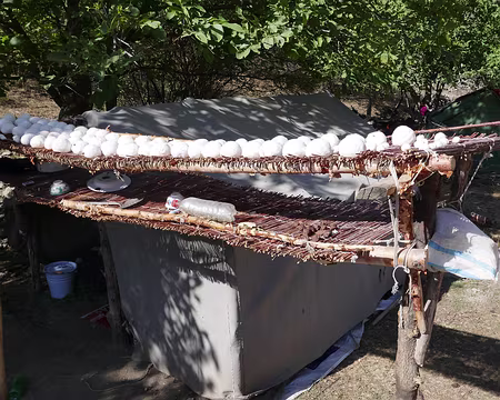 P076 Descente vers Uzgurush. Kourouts au séchage dans une ferme