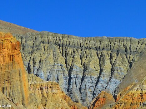 2013-10 Mustang Gilles C, détail sortie