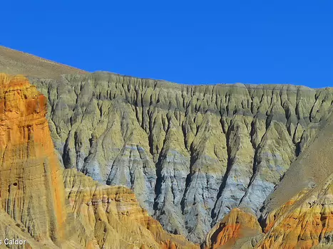 2013-10 Mustang Gilles C, détail sortie