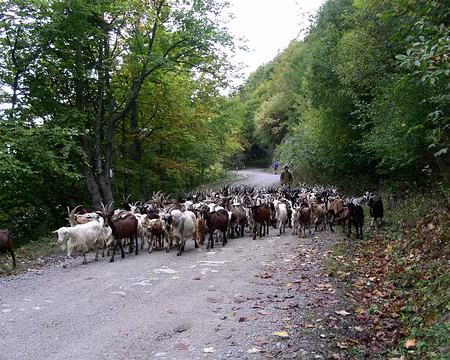 39 Sur la piste du col Garezza.