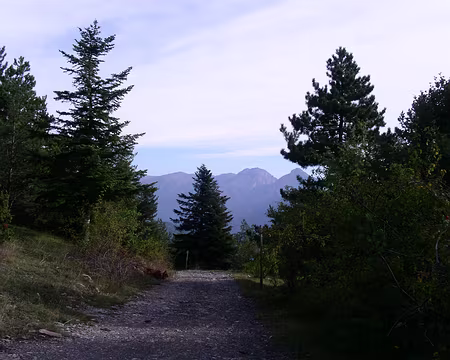 44 La longue longue descente vezrs Vintimille.