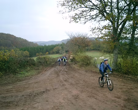 14 Sur le chemin de Bibracte-Alésia avant Aligny-en-Morvan