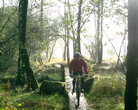37 Passage du petit pont de bois glissant autour du lac de Chamboux