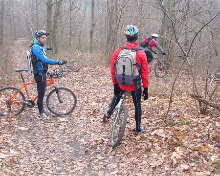 04z2976 Pause débat