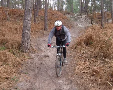 12 desente sablonneuse et fougères d'hiver