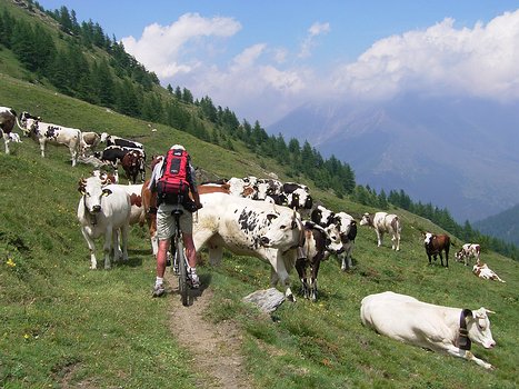 06-07 Dans les vallees Pinerolaises