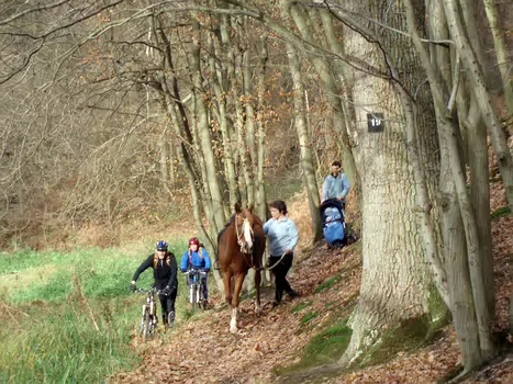 06-11 Saint remy les chevreuse