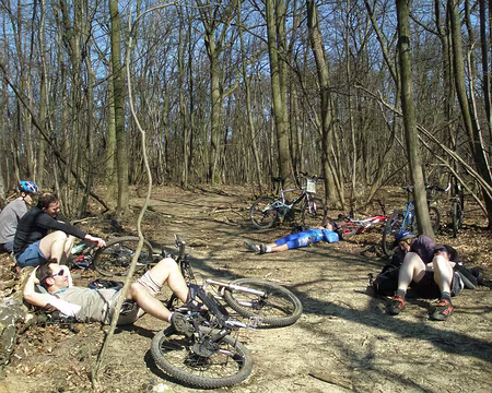 P4080074 Une pause d'une grande intensité