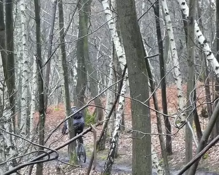 vtt_meudon_13