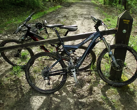 P4270003 Pendant ce temps les montures se reposent