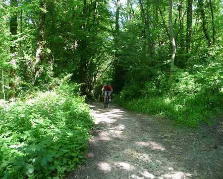 VTT_chevreuse_11_05_08_pic09