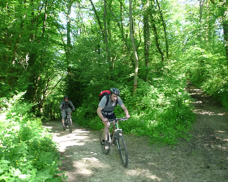 VTT_chevreuse_11_05_08_pic11