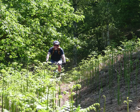 VTT_chevreuse_11_05_08_pic14