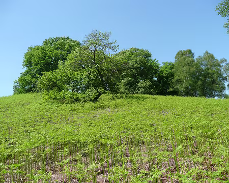 VTT_chevreuse_11_05_08_pic17