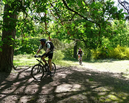 VTT_chevreuse_11_05_08_pic21