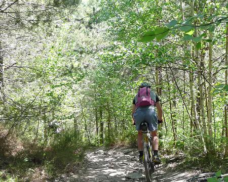 VTT_chevreuse_11_05_08_pic30