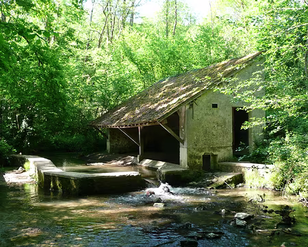 VTT_chevreuse_11_05_08_pic33