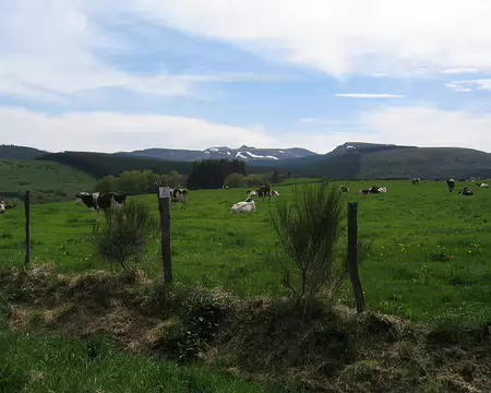 2008-05 GTMC 0013 Le Puy de Sancy