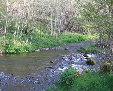 2008-05 GTMC 0015 Passage à gué assez sportif