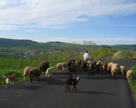 2008-05 GTMC 0017 Ils prennent le même chemin que moi jusqu'à Besse