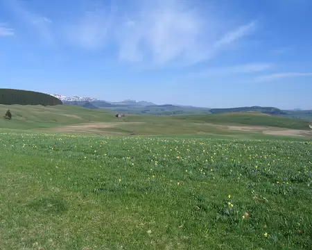 2008-05 GTMC 0021 Grandes étendues près de la Godivelle