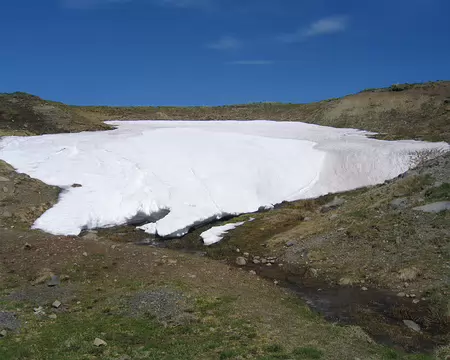 2008-05 GTMC 0026 De la neige vers 1300 m